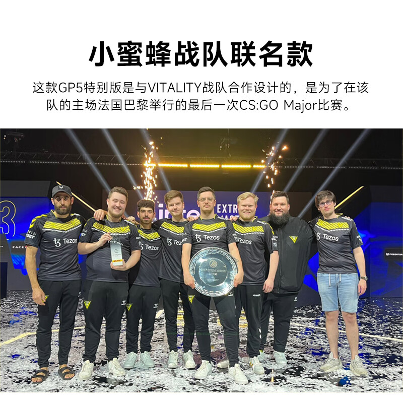 Xtrfy GP5 바이탈리티 팀 10주년 기념 Litt - Esports Gaming Brands 리뷰 및 가격
